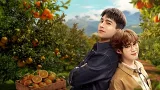 Anh Sam Của Em