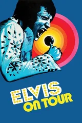 Elvis Lưu Diễn