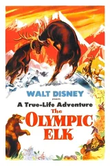 Nai Rừng Olympic
