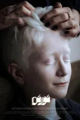 Người Đào Mộ