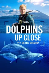 Cá Heo Gần Gũi Cùng Bertie Gregory