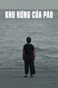 Khu Rừng Của Páo