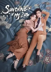 Nếu Em Bình An Đó Mới Là Ngày Đẹp Trời