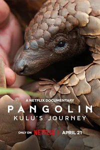 Loài Tê Tê: Hành Trình Của Kulu