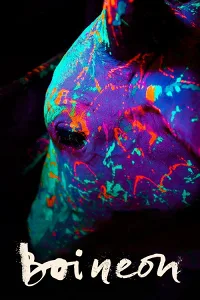 Bò Neon