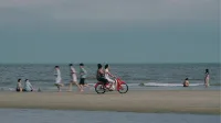 Chớp Bóng
