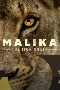 Malika Nữ Hoàng Sư Tử