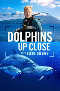 Cá Heo Gần Gũi Cùng Bertie Gregory
