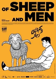 Cừu và Người