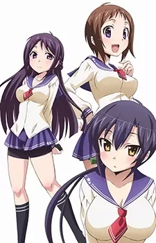 Okusama Ga Seitokaichou!+!