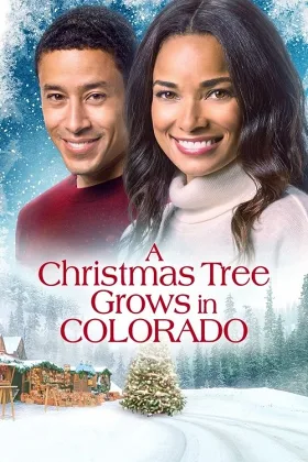 Cây Giáng Sinh Nở Hoa Ở Colorado