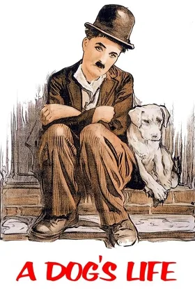 Cuộc Đời Chú Chó