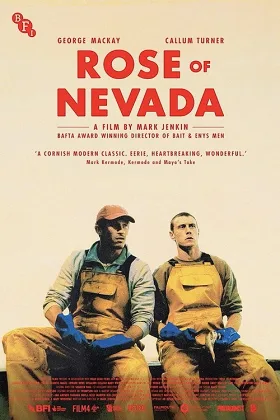 Hoa Hồng Nevada