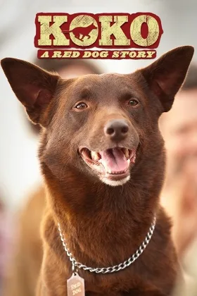 Koko: Chuyện Chú Chó Đỏ