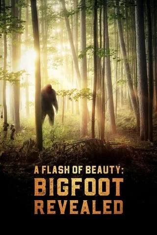 Một Thoáng Bí Ẩn: Sự Thật Về Bigfoot
