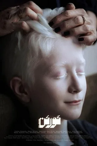 Người Đào Mộ